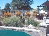 retaining wall and planting in pool area